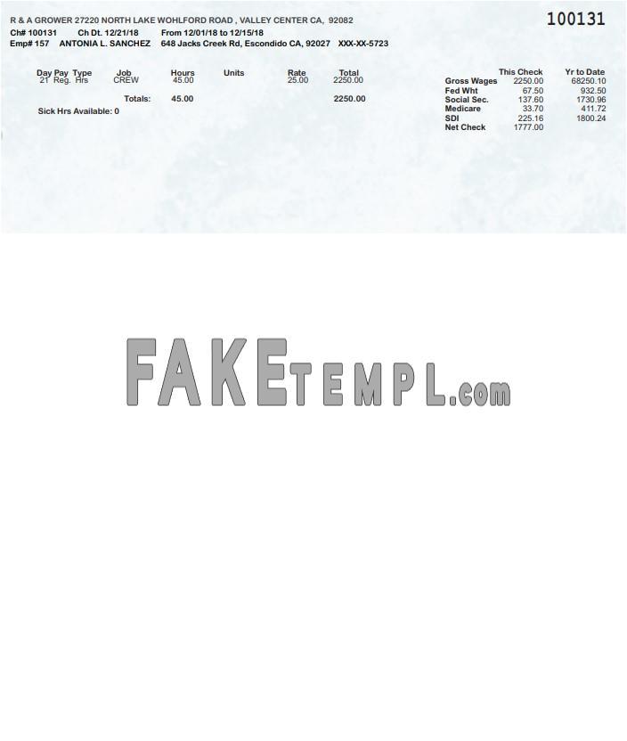 R & A Grower fake pay stub Word and PDF template